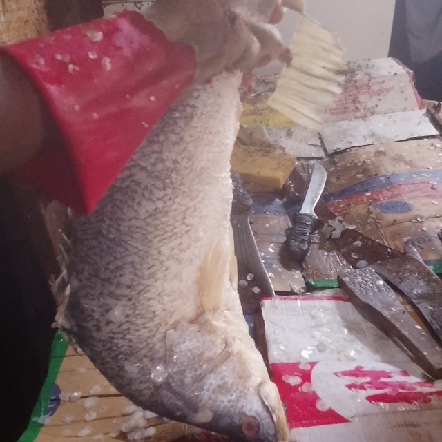 Poissons