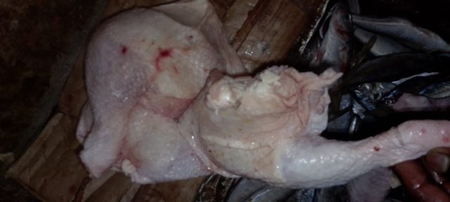 Poulet