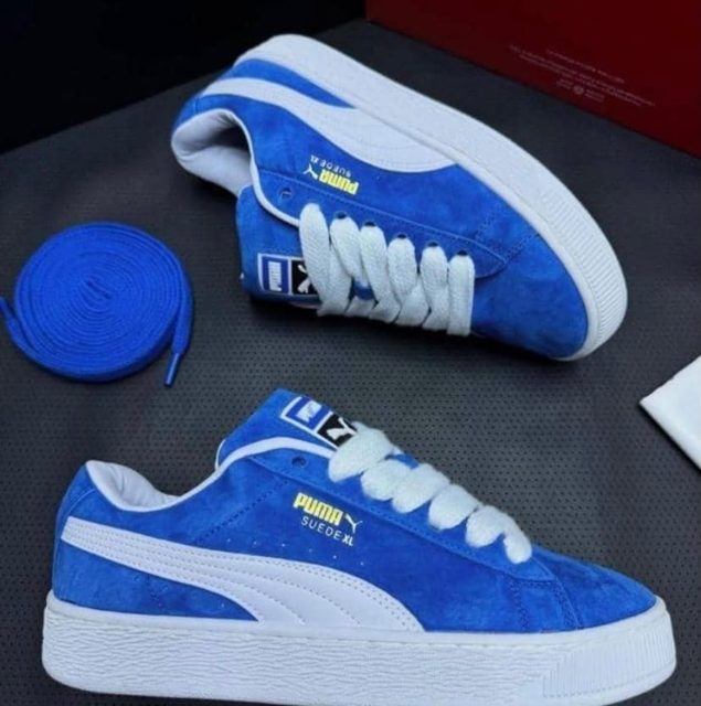 Baskets news